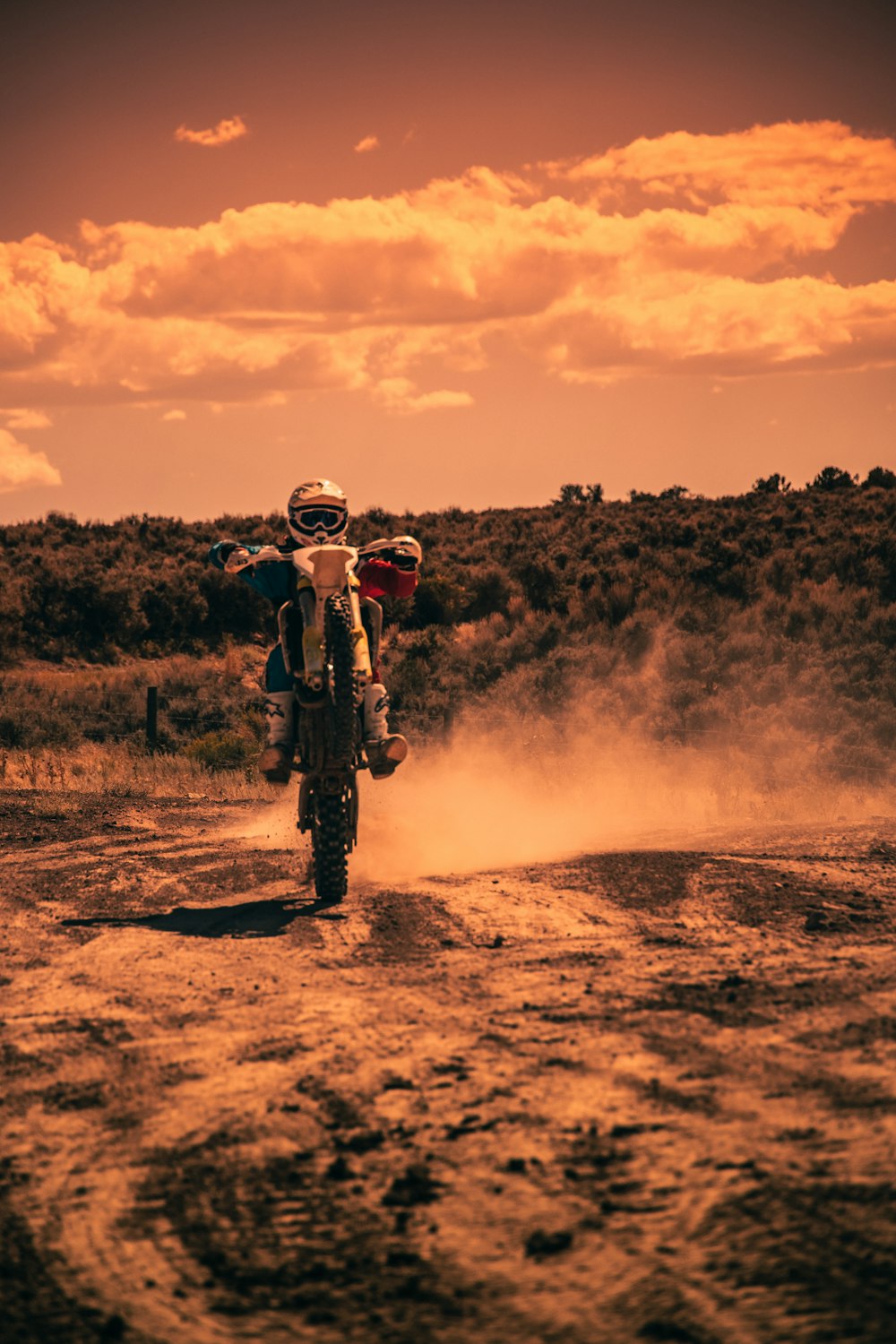 Himalayan Enduro S1